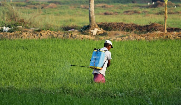 Pest control in action in an agricultural work setting