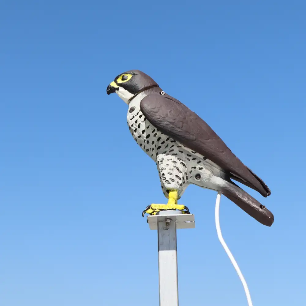 Steiner Robo Falcon Product Image
