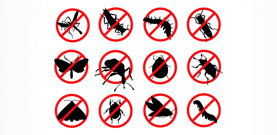 Safe and effective pest management