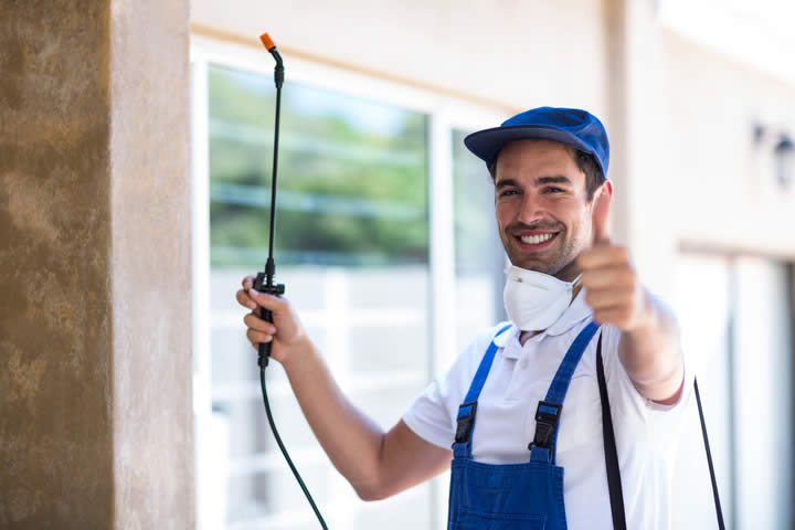Integrated Pest Management Solutions