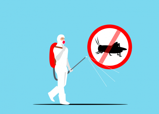 A worker wearing PPE alongside a no pests sign