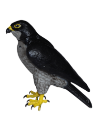 Robo Falcon Bird Control - pest management