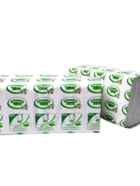 Paper Towel TS Multifold 2ply (100 sheets)