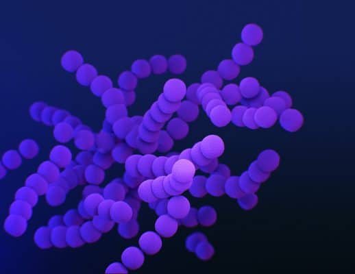 What is antimicrobial treatment? | Bidvest Steiner