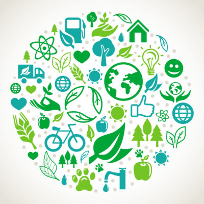 World Environmental Health Day | Bidvest Steiner