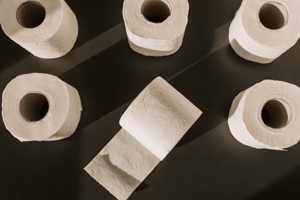 Exploring the World of Toilet Paper